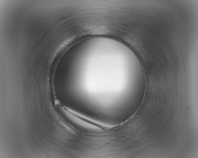 X0000061100535200512022101