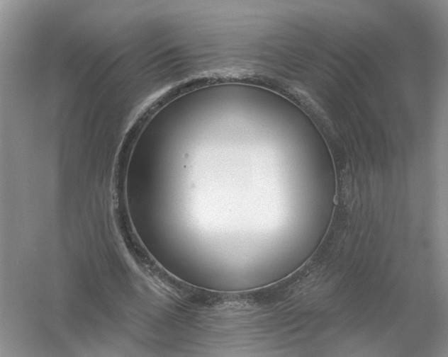 X0000061100536200512022101