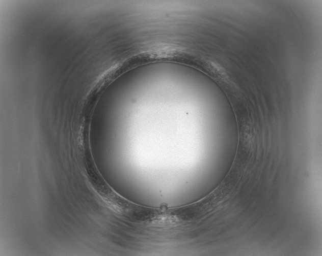 X0000061100543200512022101