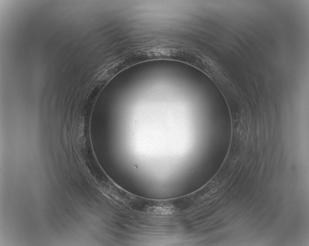 X0000061100548200512022101