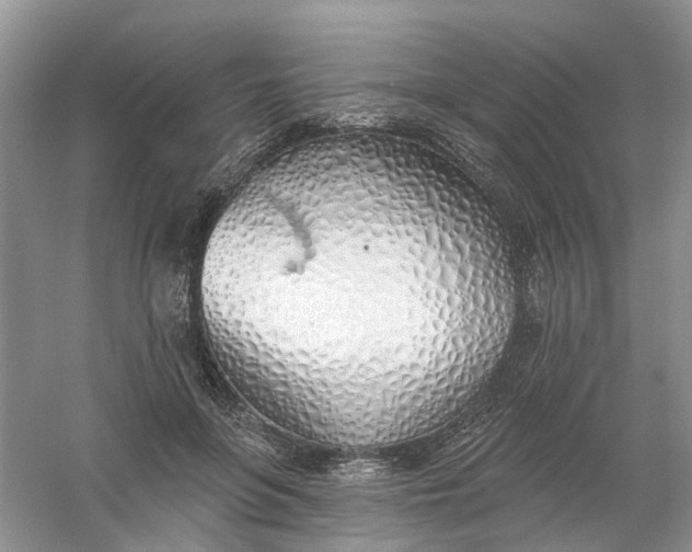 X0000061100551200512022101
