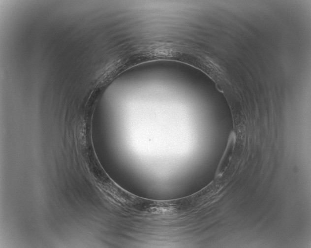 X0000061100552200512022101