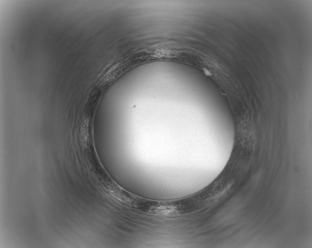 X0000061100554200512022101