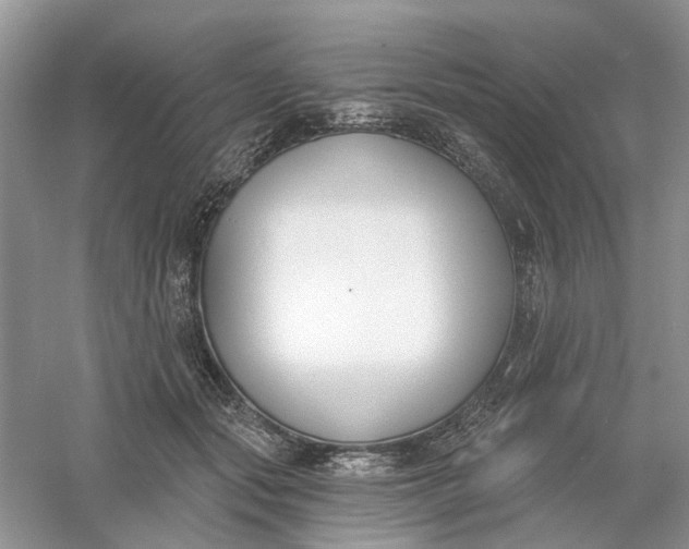 X0000061100557200512022101