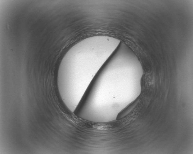 X0000061100564200512022102
