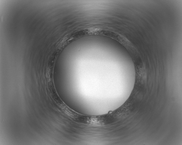 X0000061100565200512022102