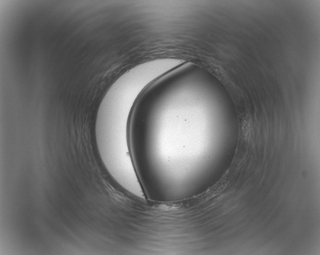 X0000061100570200512022102