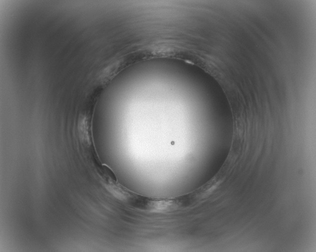 X0000061100575200512022102