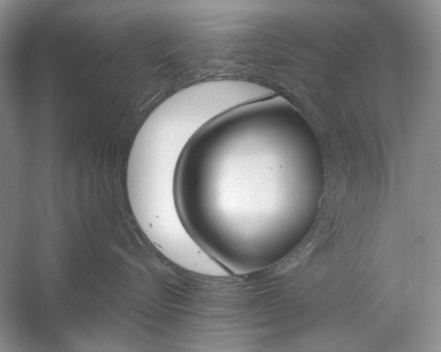 X0000061100576200512022102