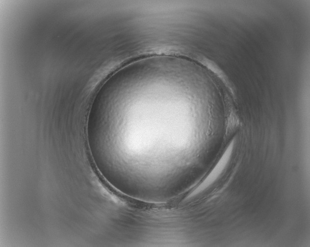 X0000061100577200512022101