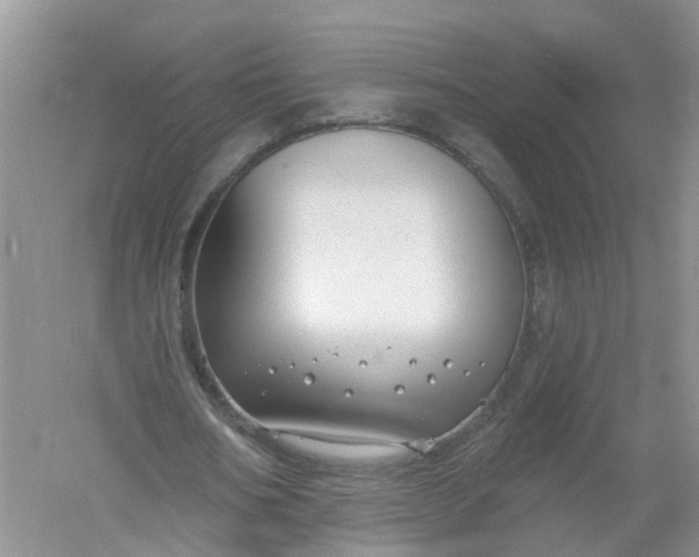 X0000061100578200512022101