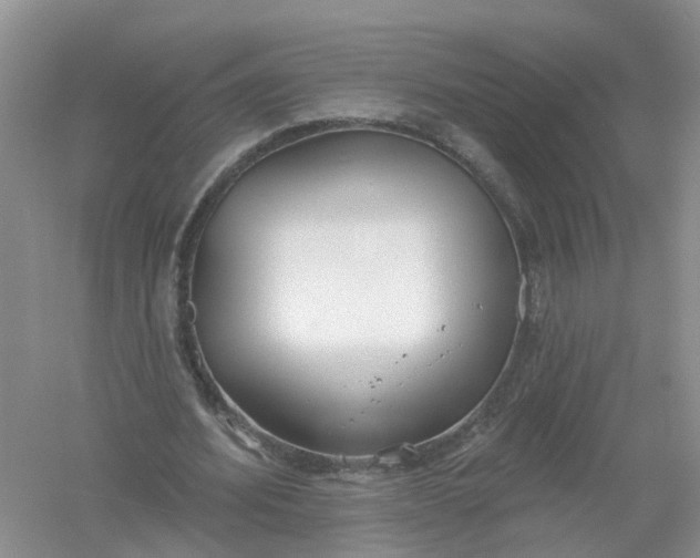 X0000061100580200512022101