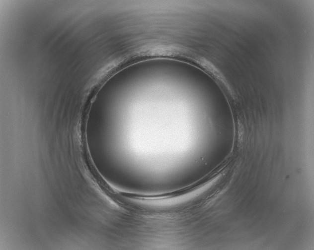 X0000061100581200512022101