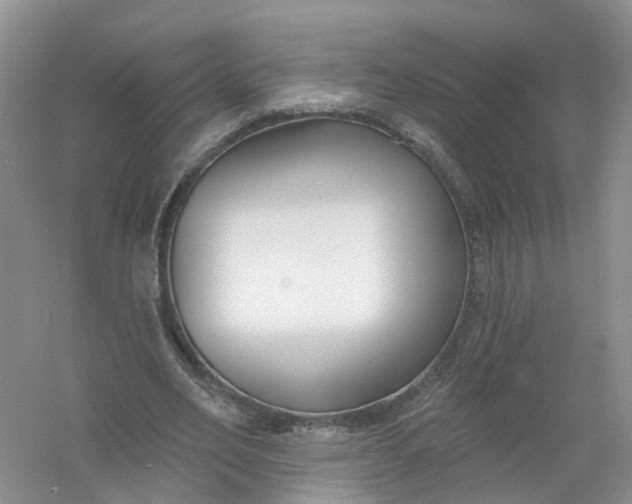 X0000061100582200512022101