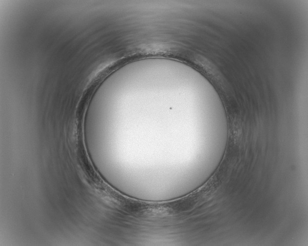 X0000061100583200512022101