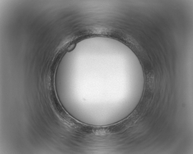 X0000061100587200512022101