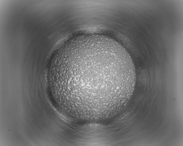 X0000061100590200512022101