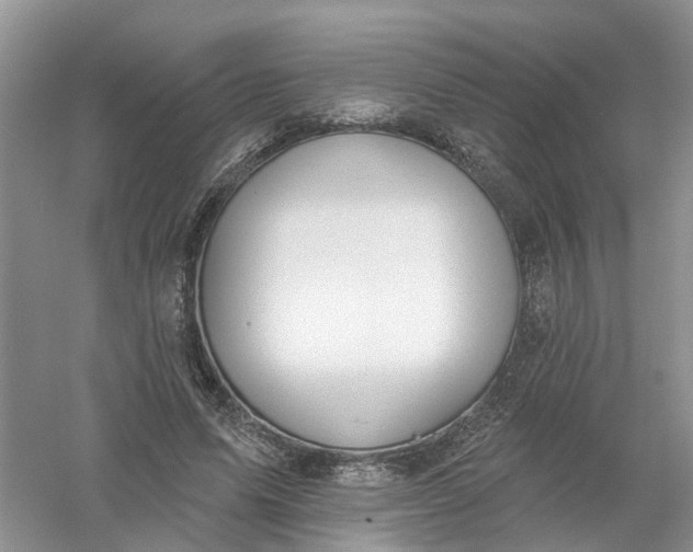 X0000061100591200512022101
