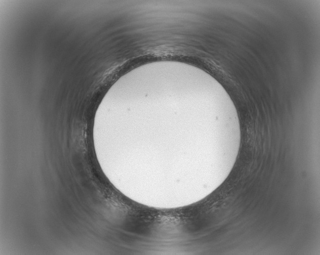 X0000061100592200512022101