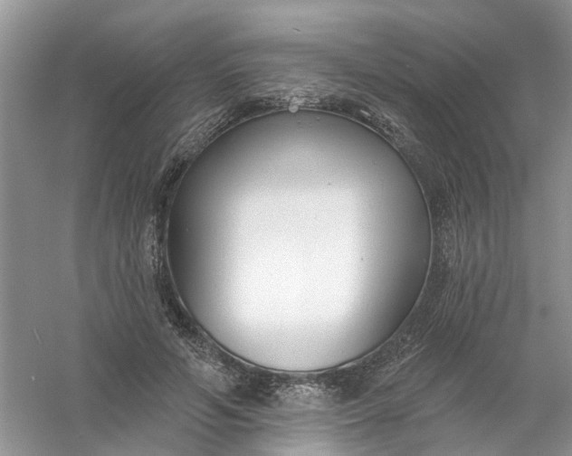 X0000061100594200512022101