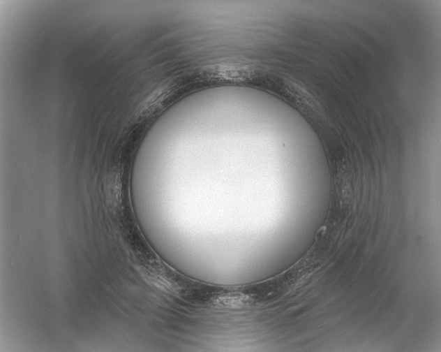 X0000061100595200512022101