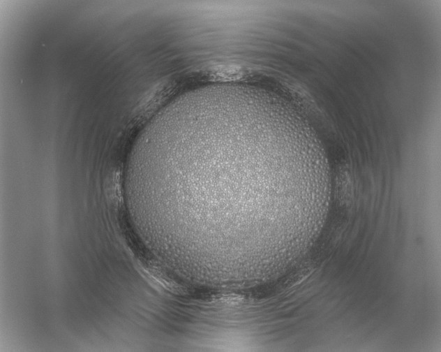 X0000061100598200512022101