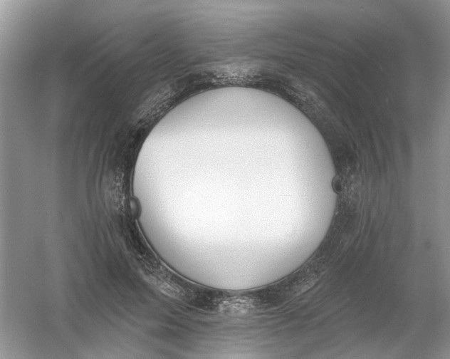 X0000061100599200512022101