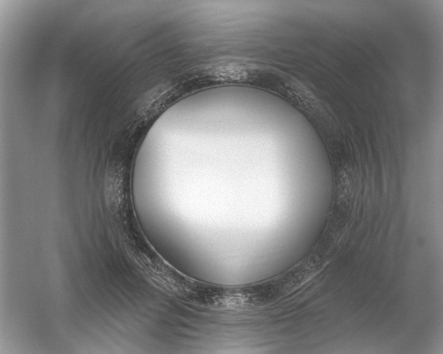 X0000061100600200512022101
