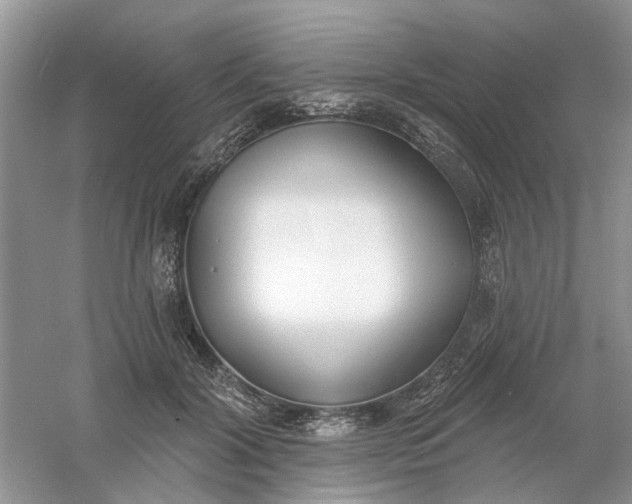 X0000061100604200512022101