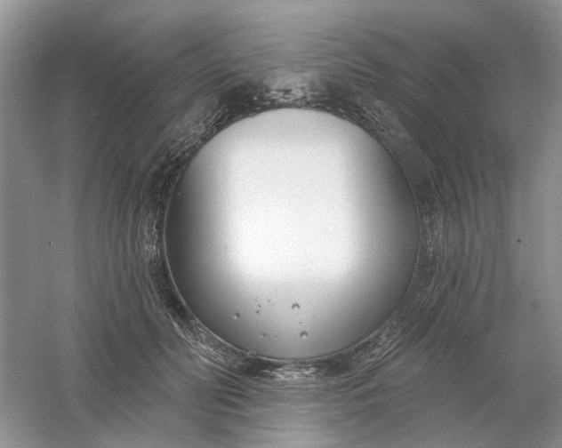 X0000061100606200512022100