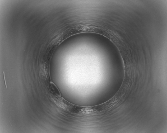 X0000061100607200512022100