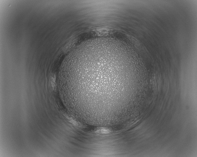 X0000061100610200512022100