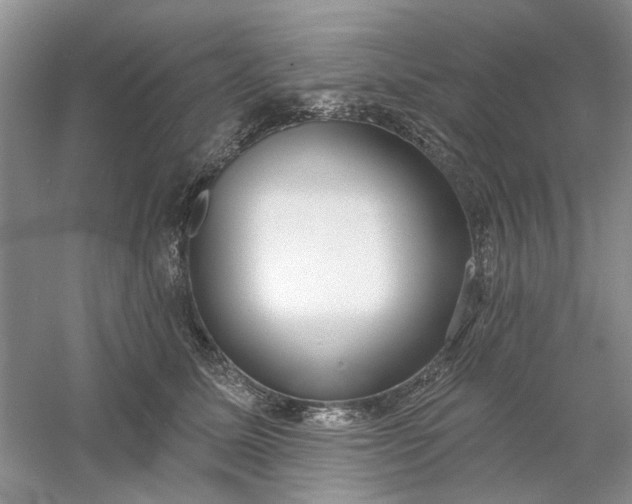 X0000061100611200512022100