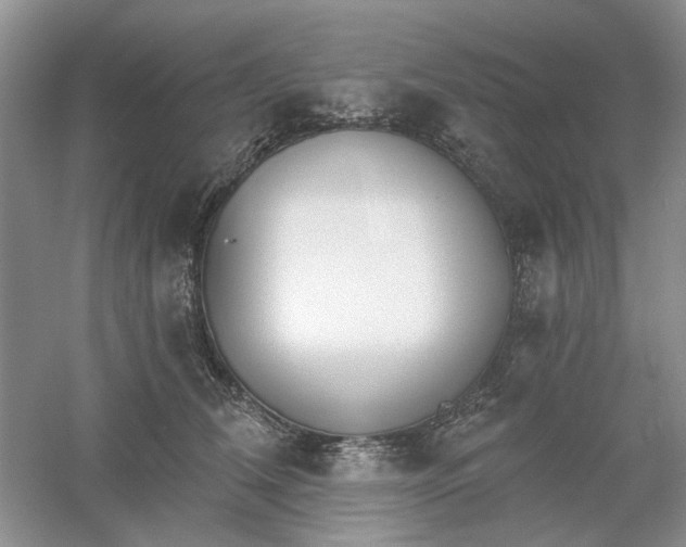 X0000061100612200512022100