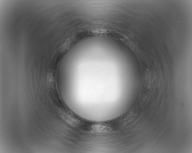 X0000061100614200512022100