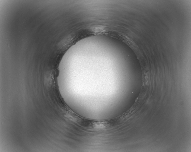 X0000061100618200512022100