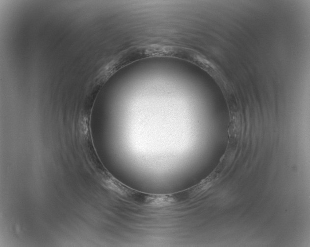 X0000061100621200512022100