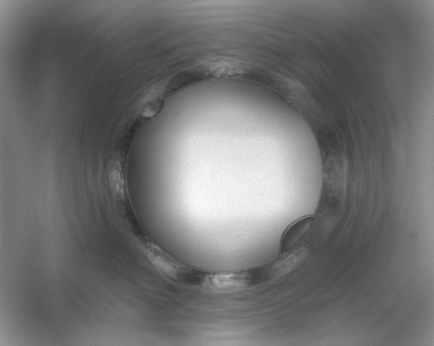 X0000061100622200512022100