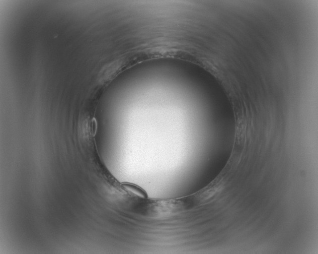 X0000061100623200512022100