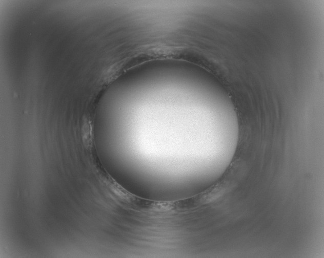 X0000061100624200512022100