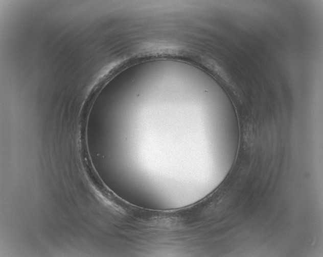 X0000061100629200512022059