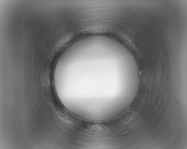 X0000061100635200512022059