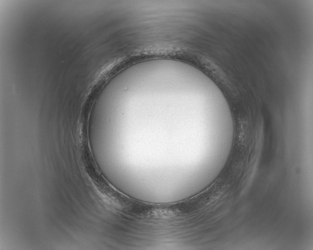 X0000061100636200512022100