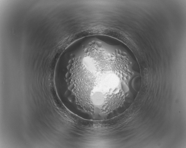 X0000061100641200512022100