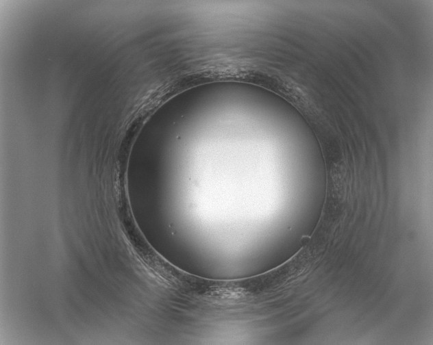 X0000061100642200512022100