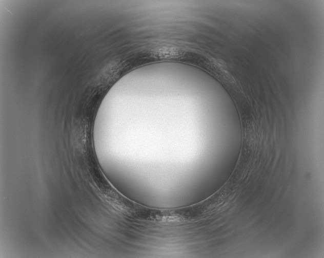 X0000061100645200512022100
