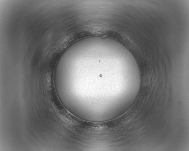 X0000061100646200512022100