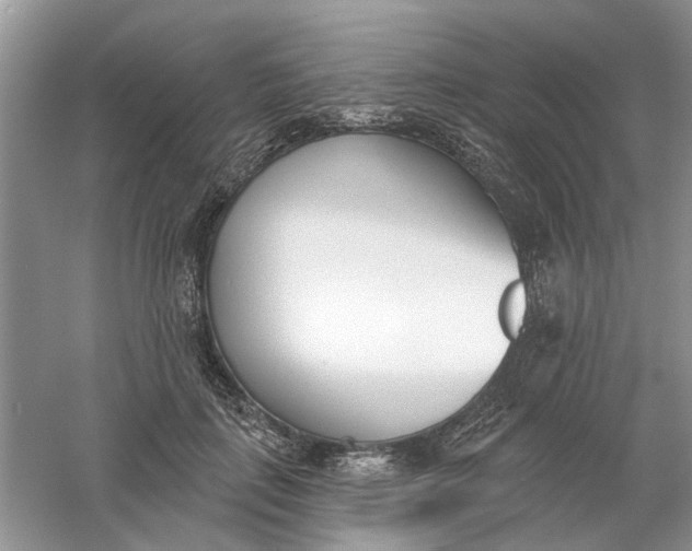 X0000061100651200512022100