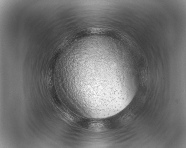 X0000061100653200512022100