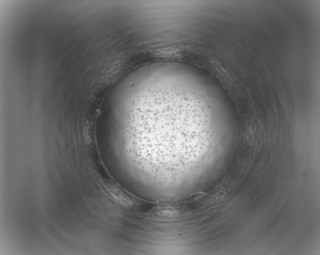 X0000061100658200512022100